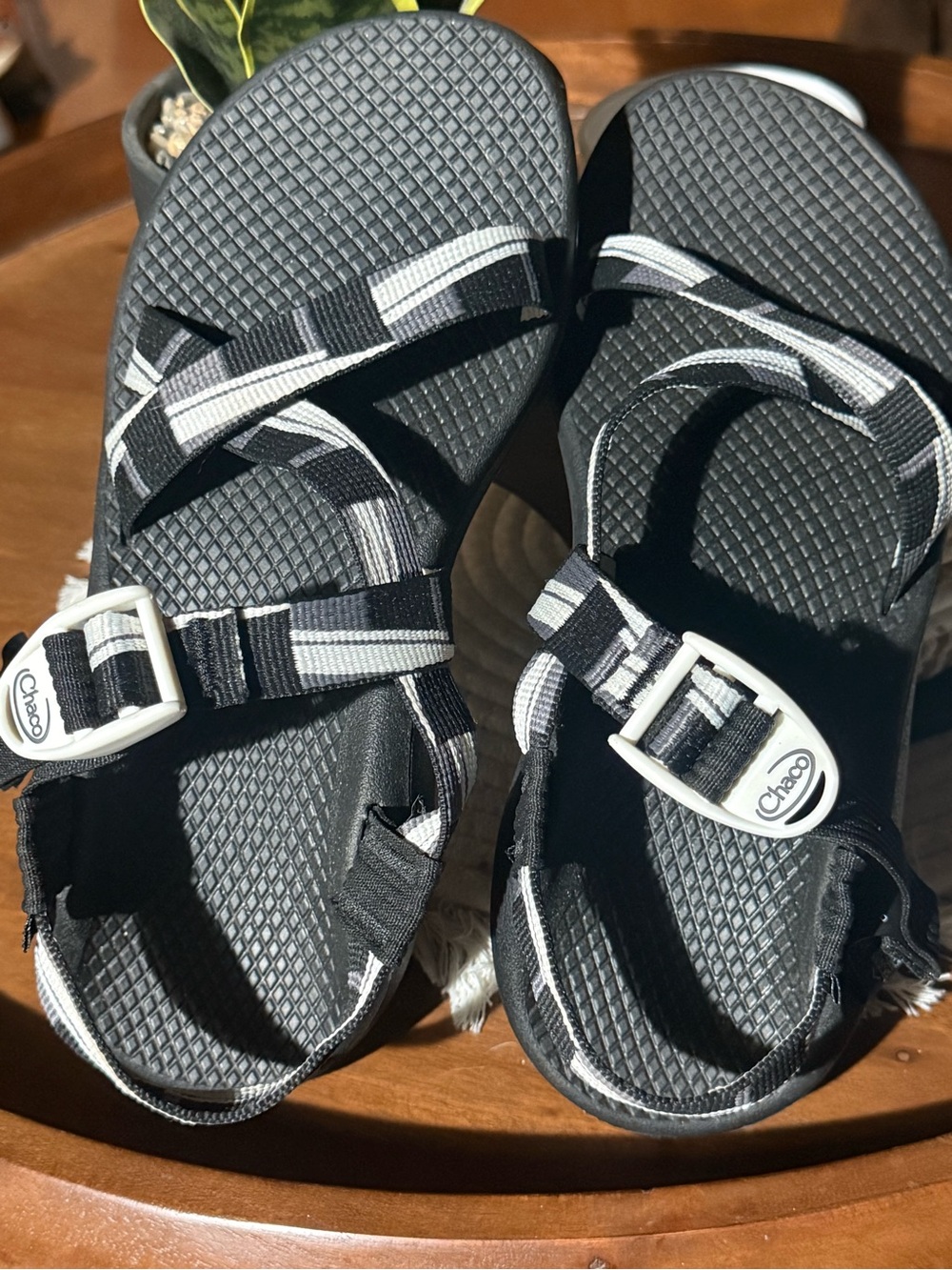 Chaco Women’s Z/1 Classic Sport Sandals Black Gray – Size 7